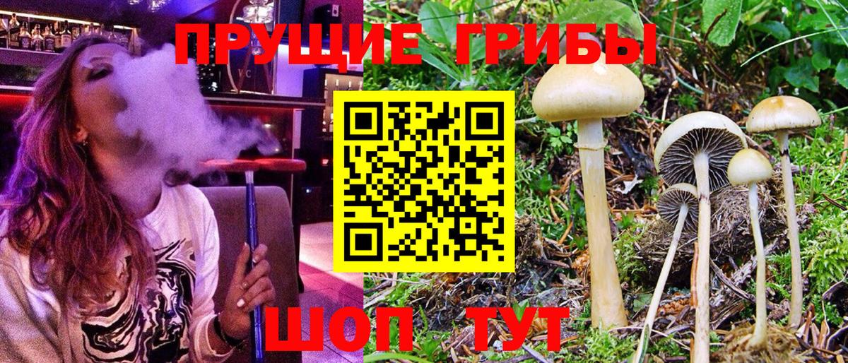 Лосино-Петровский  Псилоцибиновые грибы Magic Shrooms  Вход с VPN  Псилоцибиновые грибы прущие грибы 